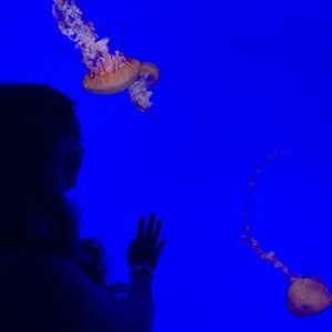 Meet your Posher, Ken